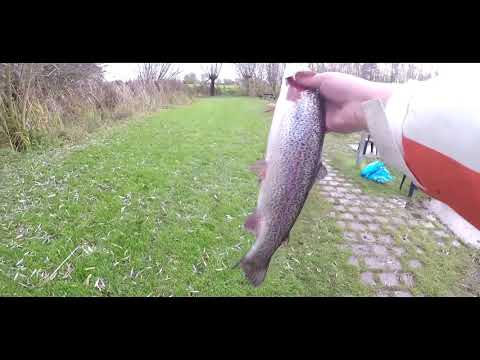 Fishing in netherland for trout 2020 4k videos