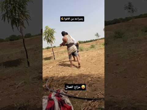 لاشغله ولا مشغله مزاح العمال الترند العمال مقطع مضحك اكسبلور