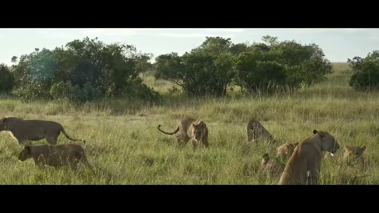 Oloimina and his Rongai Pride