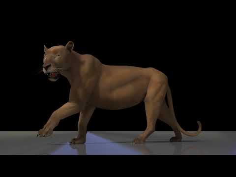 Free Lion rig - video demo 1 (render & pose)