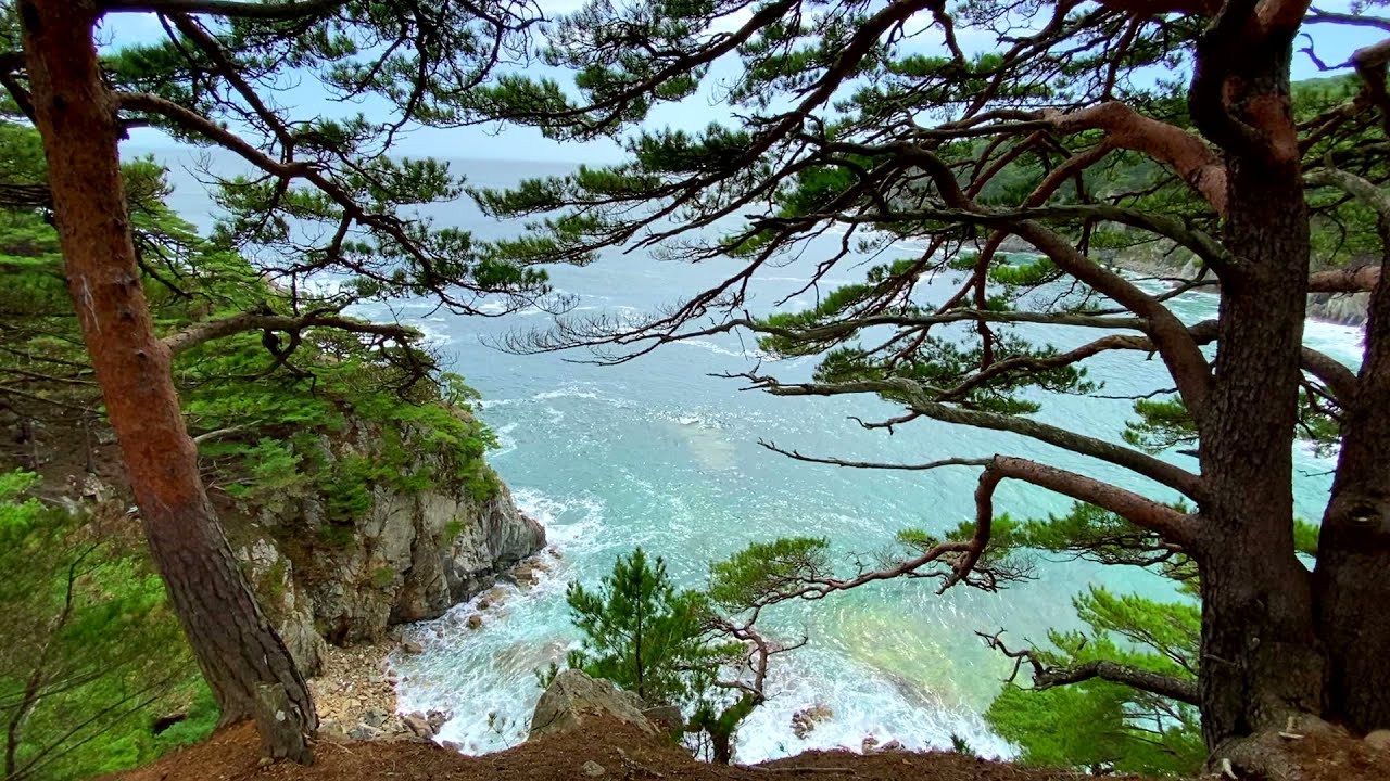 Гамова после шторма- Самое красивое место в Приморье, демо версия основного видео😊