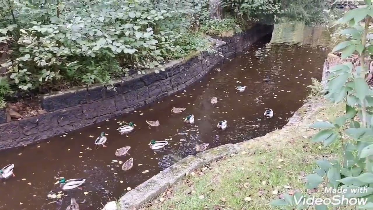 Spaziergang durch Bad Lauterberg