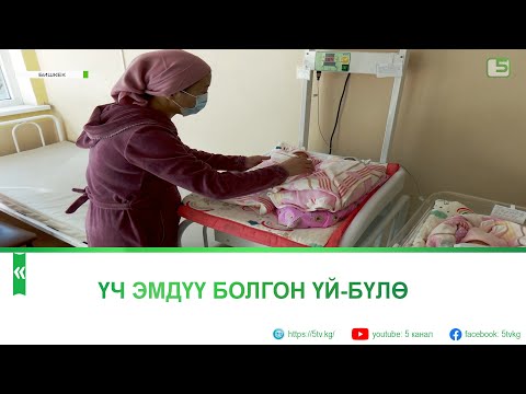 Video: Үч мамиленин бузулушу