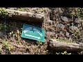 Tour to insect museum | NANITAL | UTTARAKHAND | Shobhit jain