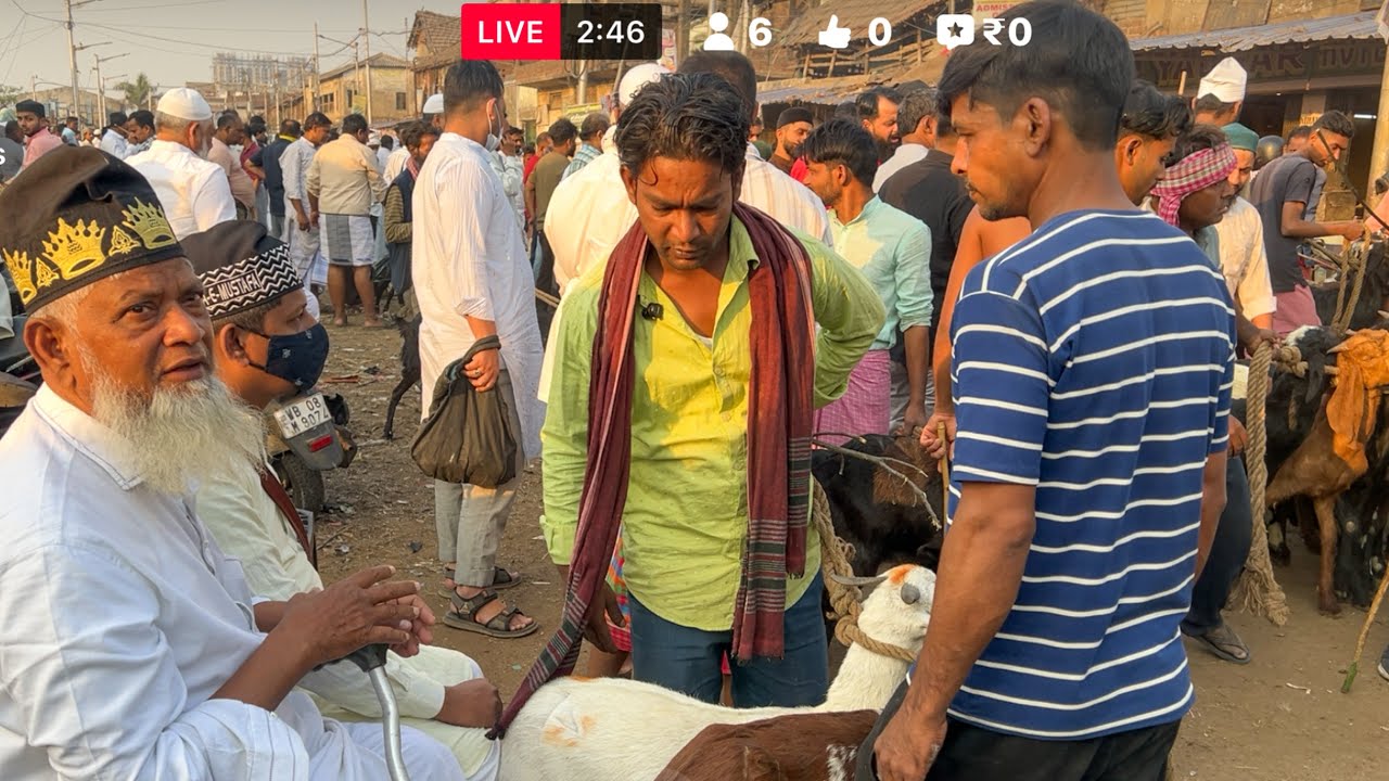 Narkeldanga Goat Market | Goat Price Kolkata