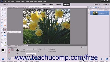 Photoshop Elements 15 Tutorial The Background Eraser Tool Adobe Training