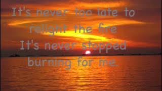 A1 - I'll Take The Tears [With Lyrics]