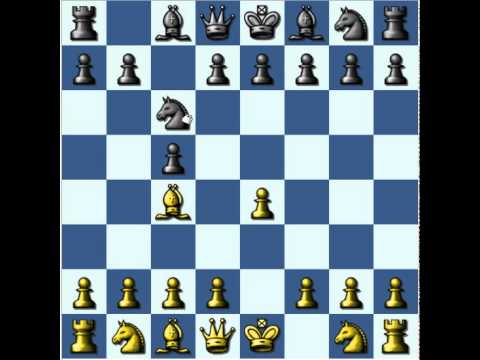 fools mate defense youtube