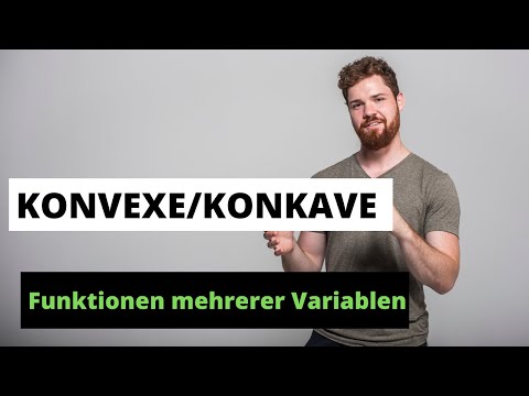 Konvexe und Konkave Funktionen mehrerer Variablen | Allgemein + Komplettübersicht in 2D + Beispiele