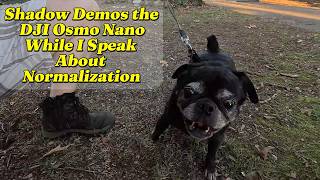 Normalization: How Lowering Standards Damages Society