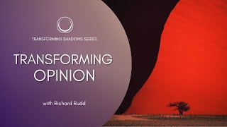 Transforming Opinion screenshot 2