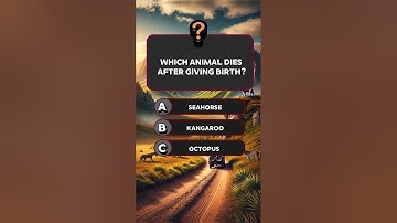 Can You Get 7/?? #quiztime #quizgames #quizchallenge #quiz