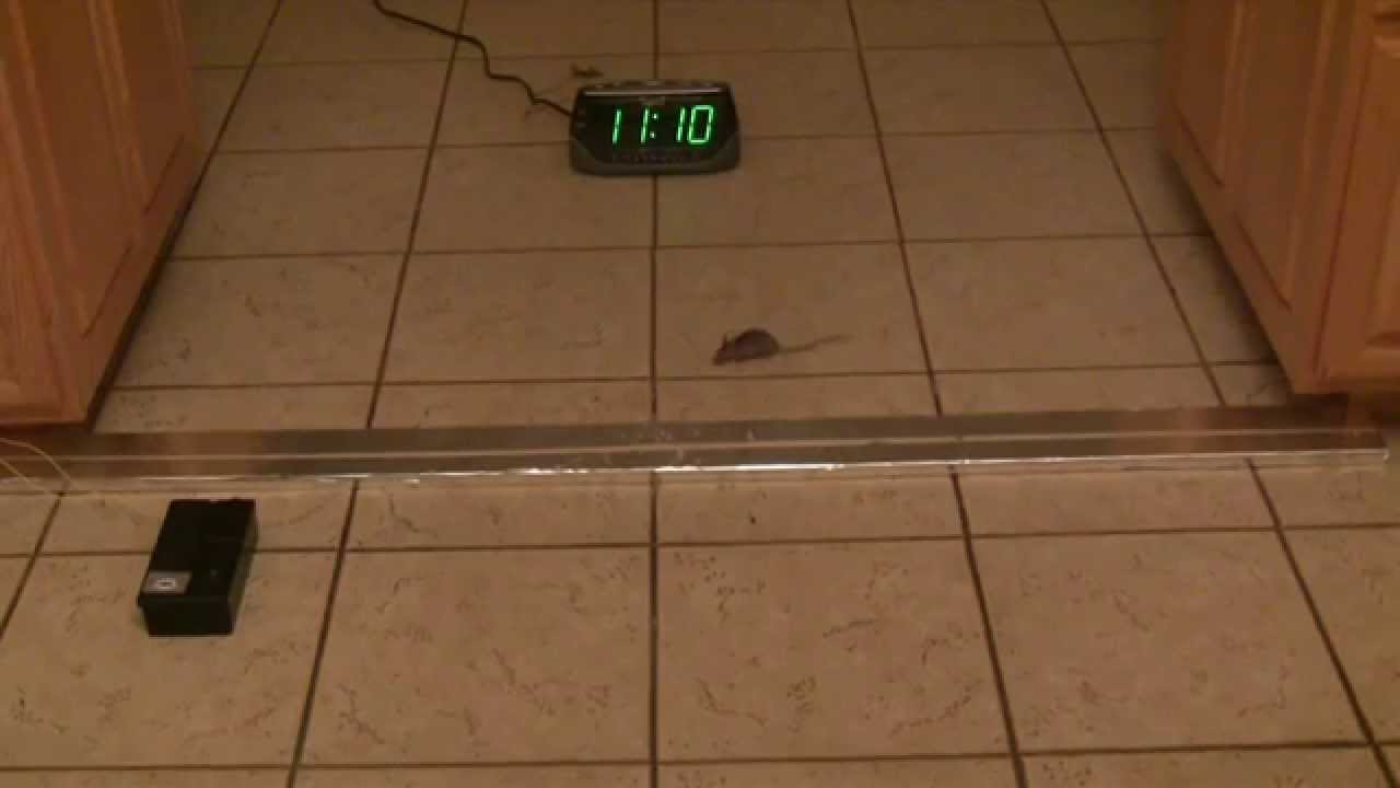 Homemade electric fence for mice - YouTube