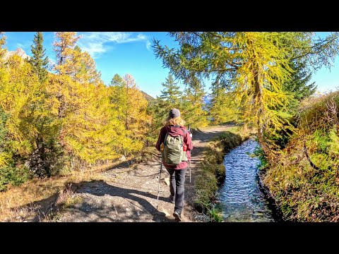 Hiking in Switzerland | Bisse de Tsittoret via Cry d'Er | Crans-Montana Canton Valais | 2022 (4K)