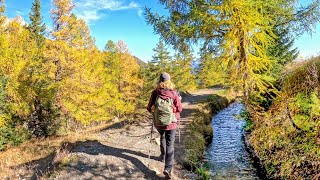 Hiking in Switzerland | Bisse de Tsittoret via Cry d&#39;Er | Crans-Montana Canton Valais | 2022 (4K)
