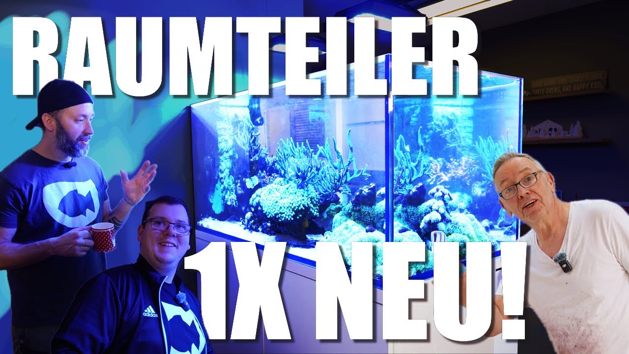 Christianes 121x70x60cm Meerwasseraquarium braucht eine neue EINRICHTUNG!!!
