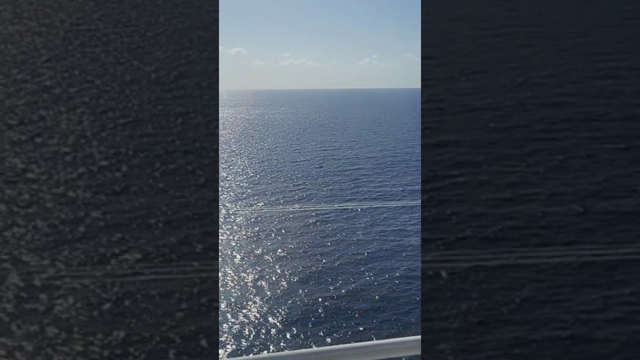 This Is What We Look Forward To On A Cruise 