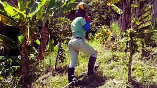 Trying to Catch Up After a Week Away | Life on My Colombian Farm