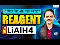LiAIH4 | Reagent | IIT JAM | CUET PG Chemistry 2027 | Lec-1 | IFAS