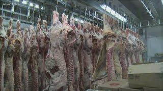 Boone's Butcher shop in Bardstown booming amid food supply concerns