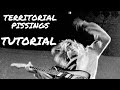 Territorial Pissings - Nirvana Tutorial (Español)