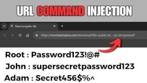 Access Hidden Files with URL Command Injection | picoCTF - CaaS