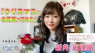 新井恵理那、クリスマスにお花を飾ってみた　その出来栄えにペットのインコが反応　セント・フォースの人気アナが登場　「花キューピットの“おはなじかん”」