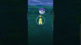what do you think is it shundo? #pokemon #shinypokemon #pokémongo #shorts