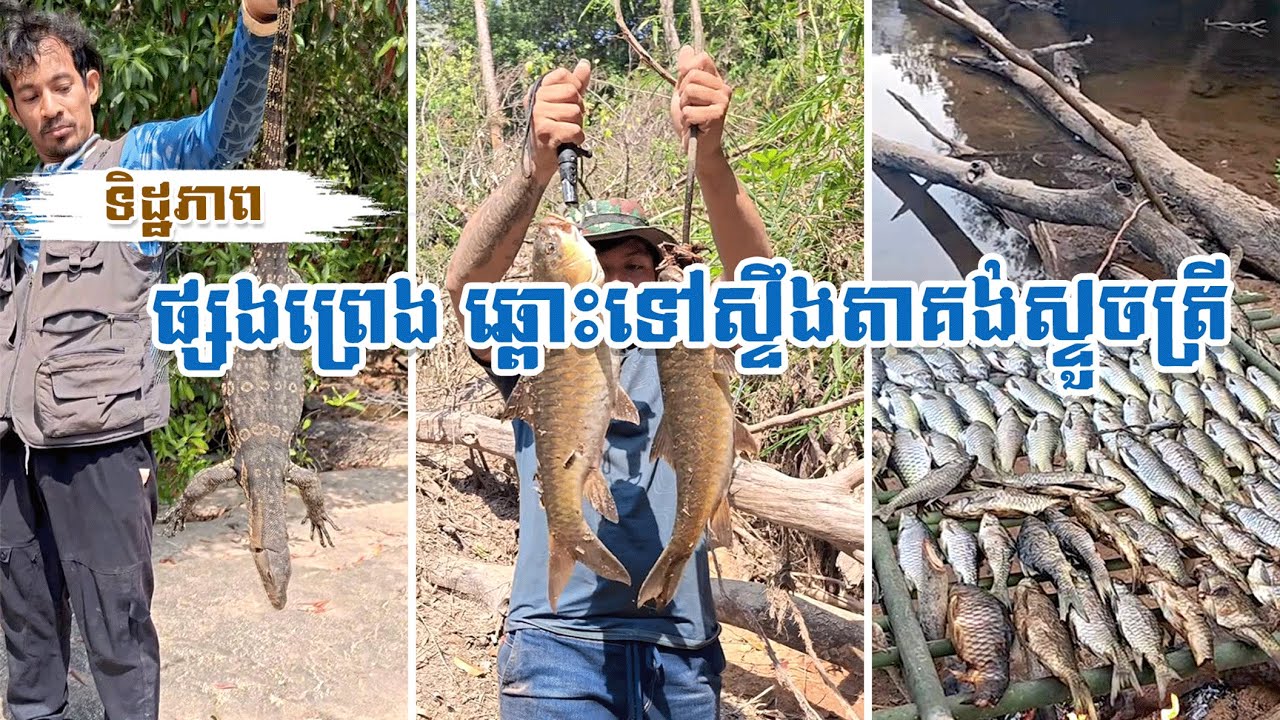 ទិដ្ឋភាពផ្សងព្រេង ឆ្ពោះទៅស្ទឹងតាគង់ស្ទួចត្រី (ភាគ2)