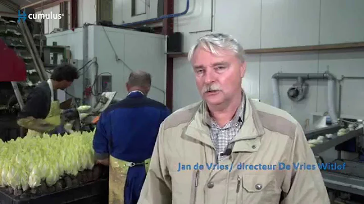 Cumulus bevochtiging bij Koelvries Creil B.V.