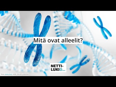 Video: Mitä kromatiinikromatidit ja kromosomit ovat?