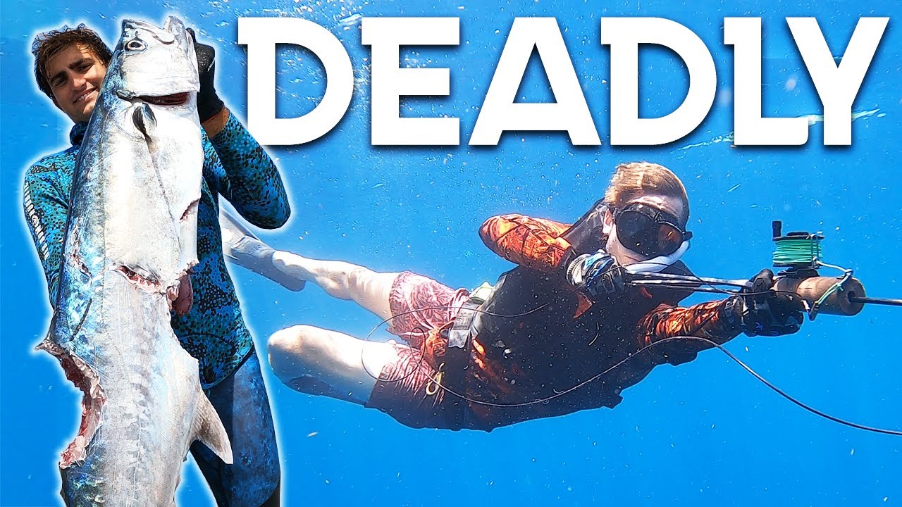 WILDEST SPEARFISHING Trip Ever!, DEEP Freediving Primitive Spearing!