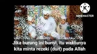 Jika Burung Cabak Bunyi di Malam Hari, Itu Waktunya Berdoa Minta Rezeki pada Allah - Guru Sekumpul