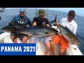 Isla Montuosa, Panama Inshore & Offshore Fishing