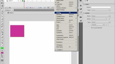 ActionScript в Adobe Flash CS4 (41/46)
