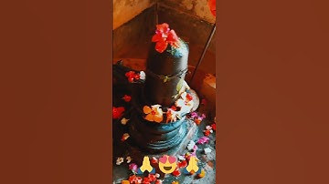 Mahashivaratri status 💞 shiv status video 💫 Mahadev status ❣️ shivshakti status #shorts#viral #4k