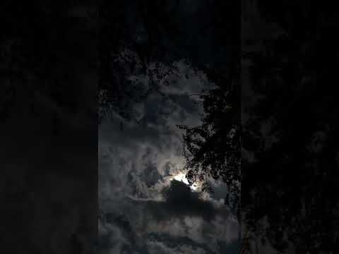 الأخرس عيد الحب حالات واتس اب