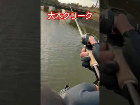 大木クリークを新規開拓  福岡バス釣りトニー