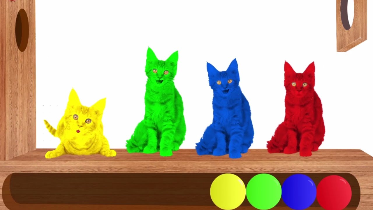 Learn Colors for KIDS with Colorful Cats Xylophone Nursery RhymesFrom