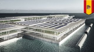 Smart Floating Farm: Forward Thinking Architecture’s invention could help feed the world - TomoNews screenshot 4