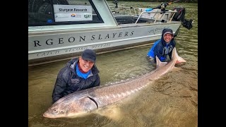 Land Of Dinosaurs - White Sturgeon Expedition