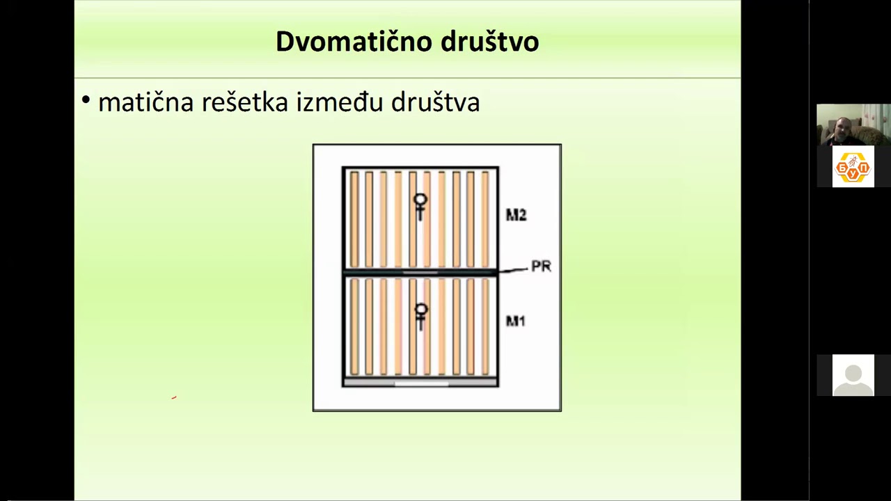 Mladen Krstić Dvomatično pčelarenje