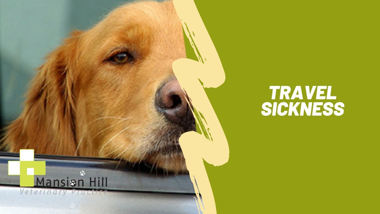 Travel Sickness YouTube