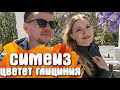 Симеиз Цветет Глициния - Первый день / Крым