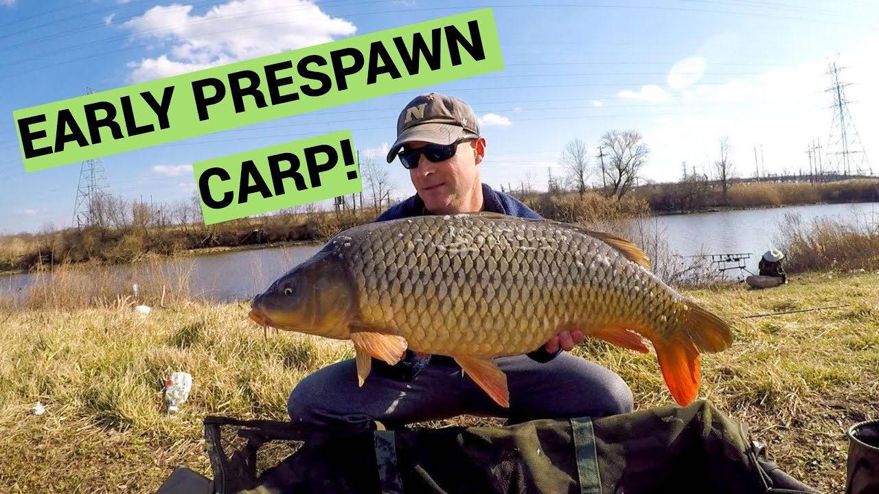 Carp Fishing with Boilies, Tiger Nuts, and Pop-up Corn 