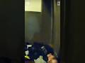Officer Shoots Partner During Foot Chase