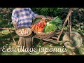 パリの田舎に、日本の食と文化を楽しむ「村」を作る!/ フランス暮らしvlog