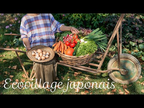 Βίντεο: Φύτευση σπα στον κήπο – Πώς να καλλιεργήσετε βότανα και φυτά σπα