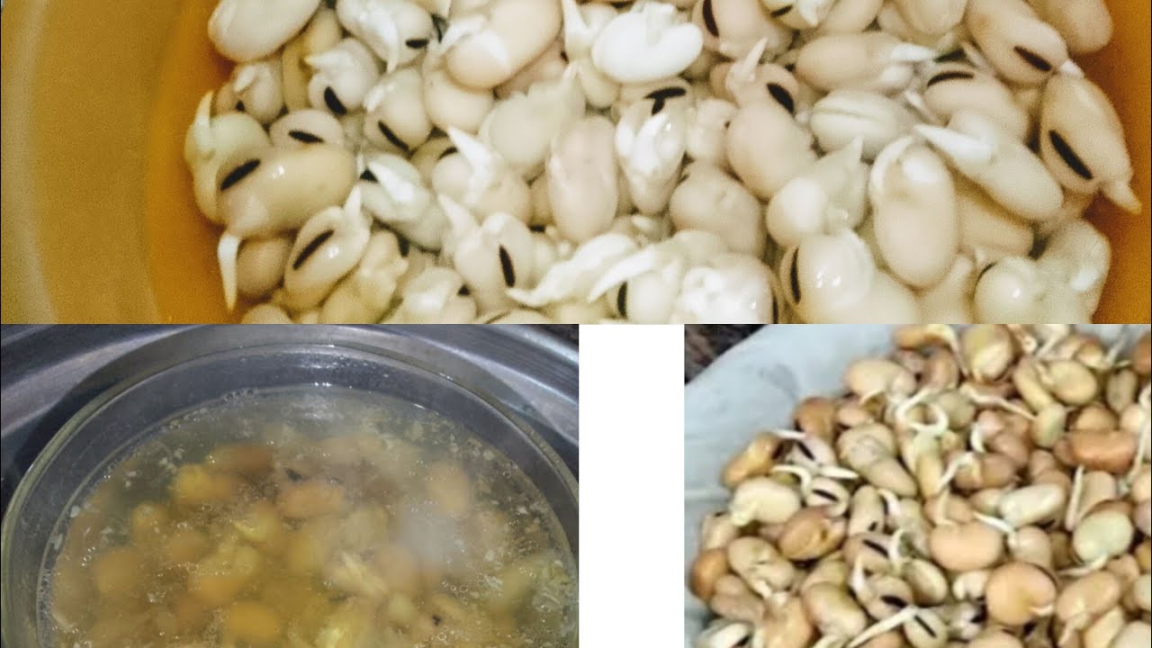 ازاى  🤔 اعمل اطعم شوربة من الفول النابت وسر لونه الفاتح أكلة تشبع وتدفى اقتصادية 