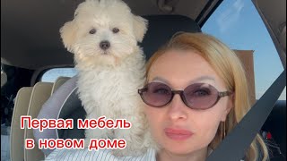 картинка: В новый дом с новой мебелью. Август в станице.